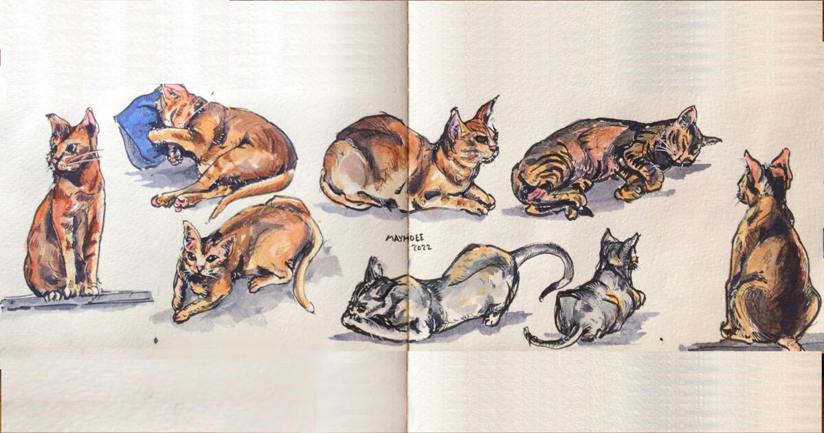 Sketching my cats